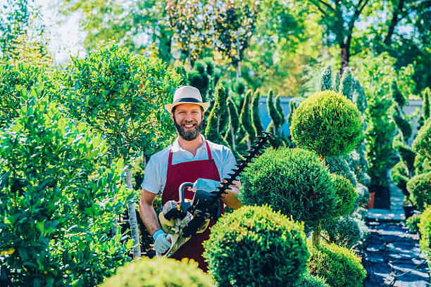 professional landscaping in Royston professional landscaping in Royston
